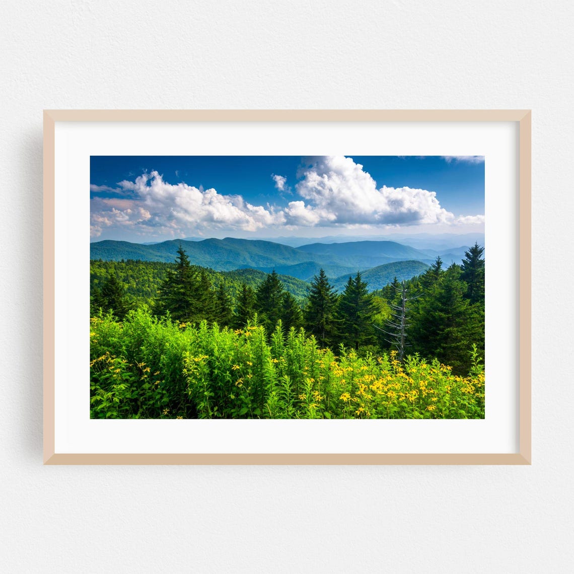 North Carolina Blue Ridge Mountain Summer View Wildflower Photo Print