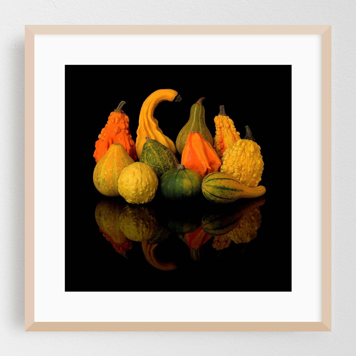 Autumn Gourds Still Life Photography Poster on Black Background