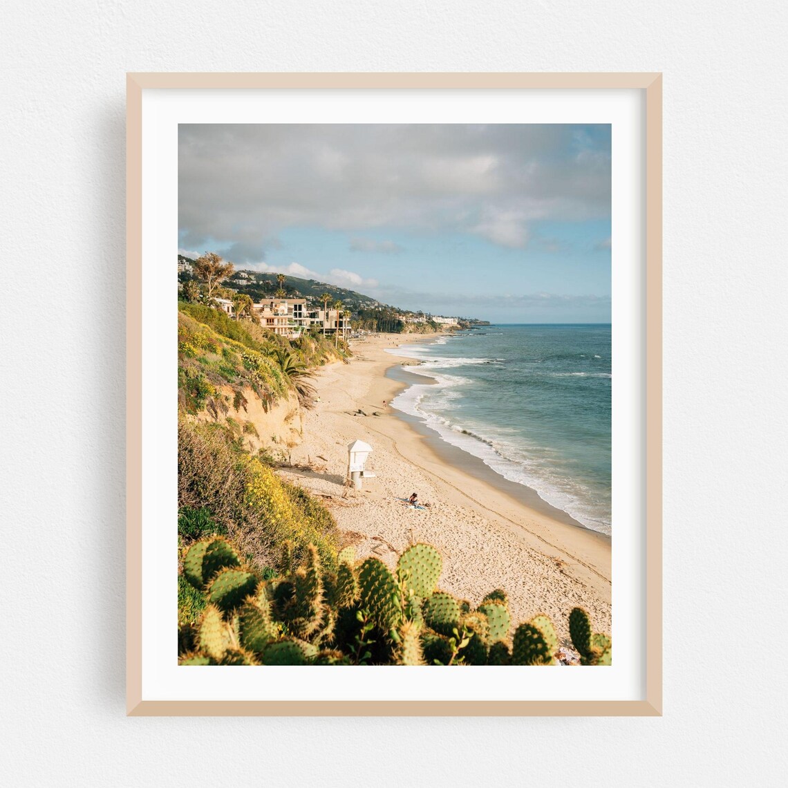 Beach Cove With Cactus Foreground and Beach Houses Photography Art Poster