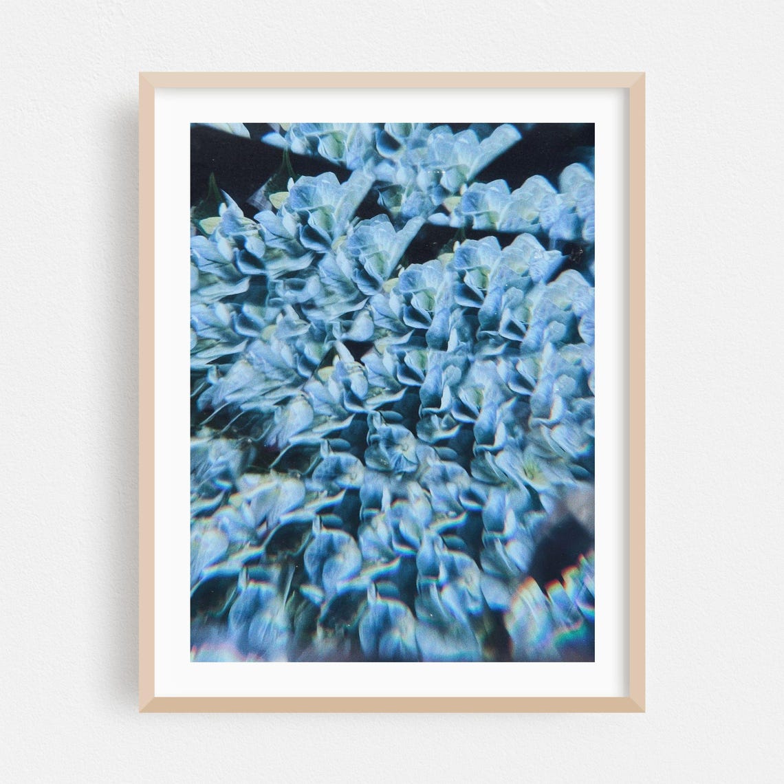 Blue Hydrangea Blooms Psychedelic Surreal Botanical Photography Poster
