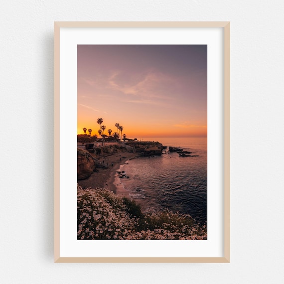 La Jolla Sunset Beach Palms Rocky Ocean Cove Coastal Photo Poster