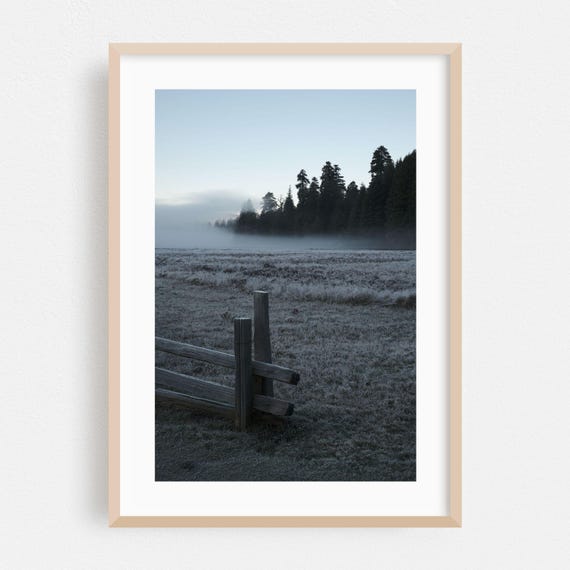 Print Foggy Wall Art Winter Framed Landscape Home Decor Forest Poster Nature Fine Scenic Moody Photography
