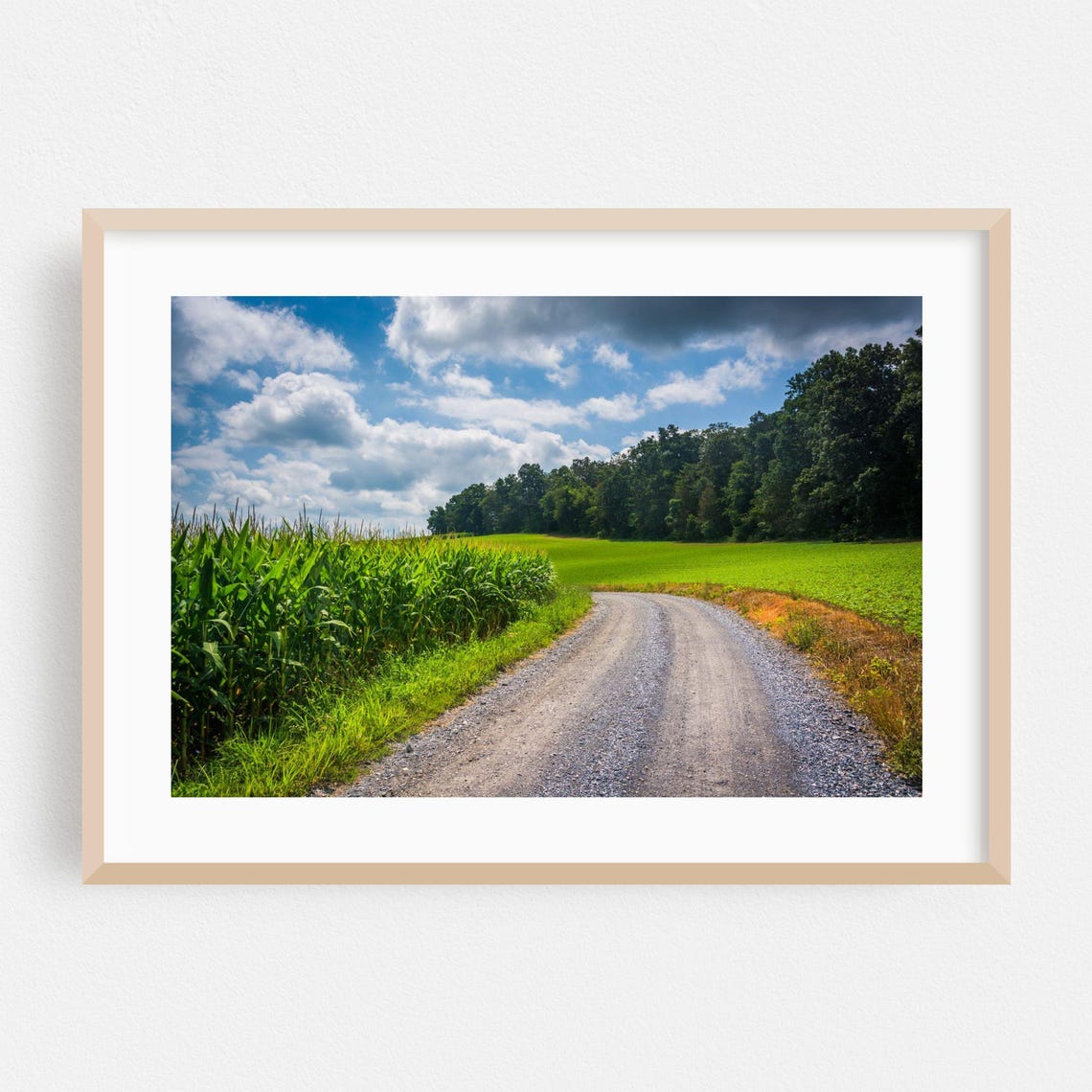 Maryland Gravel Road Through Cornfields on a Summer Day Poster