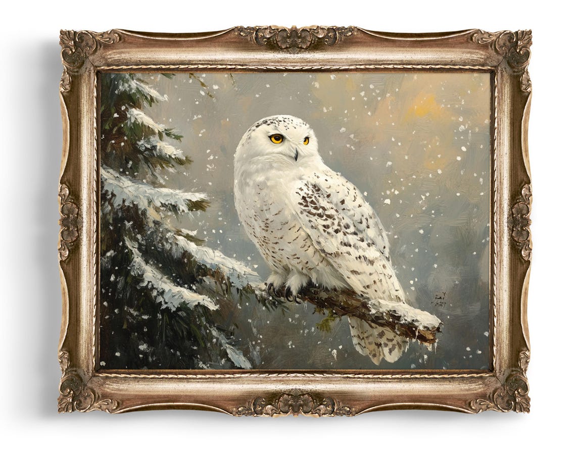 Snowy Owl Resting on a Pine Branch in Golden Winter Light Poster
