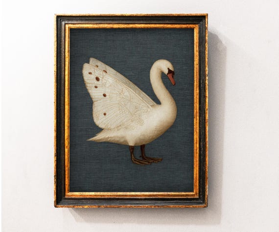 Antique Swan Wall Art Painting Funny Vintage Print Farmhouse Bird Decor Natural Moody Animal Picture Moth