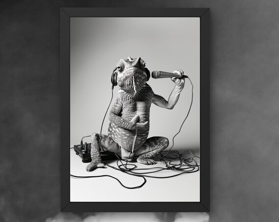 Funny Chameleon Dj Poster Chameleon With Microphone And Headphones Humorous Animal Art Wall Decor For Music Lovers