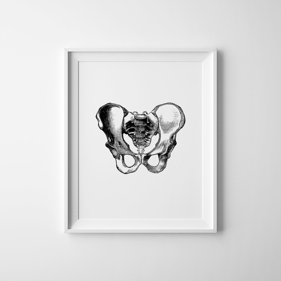 Hips Anatomy Print, Vintage Medical Wall Art - Image 3