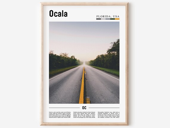 Ocala Florida Travel Poster Empty Country Road at Sunrise Photo View