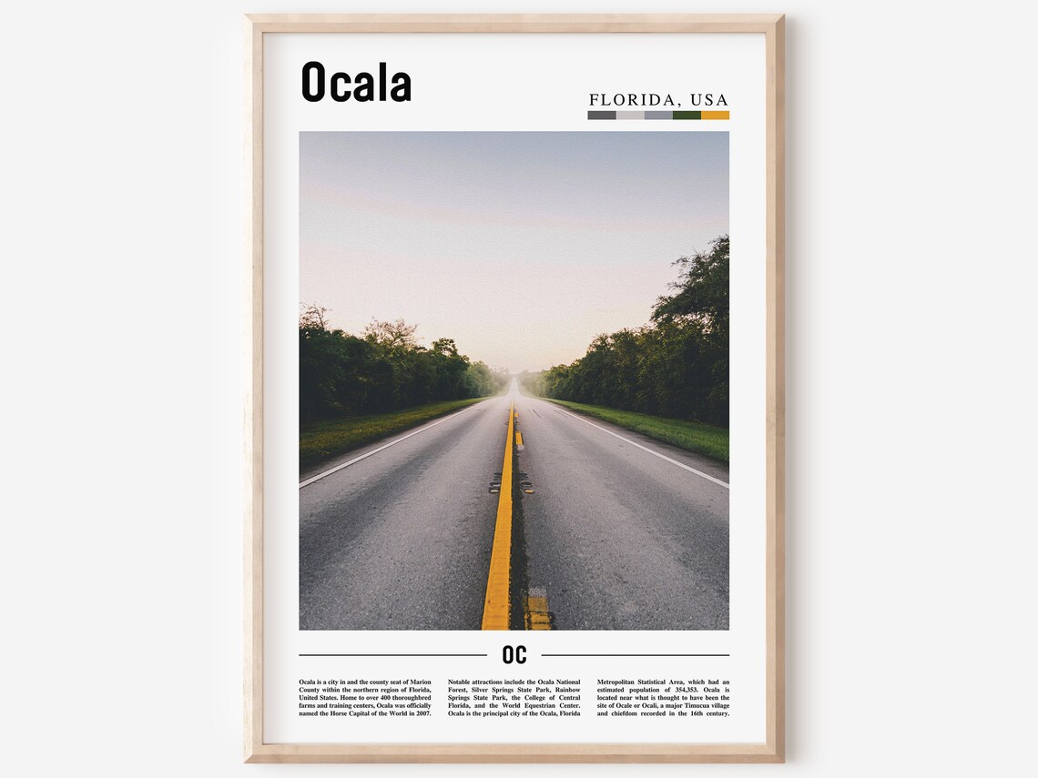 Ocala Florida Travel Poster Empty Country Road at Sunrise Photo View