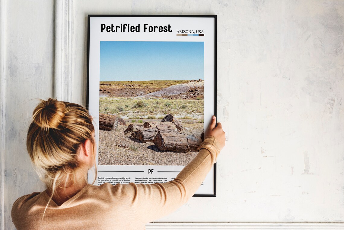 Petrified Forest Arizona Painted Desert Landscape Travel Poster Photo - Image 2