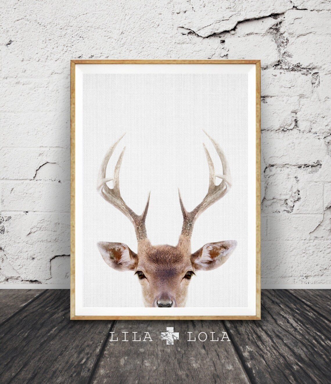 Deer Print Modern Minimalist Antlers Art Print