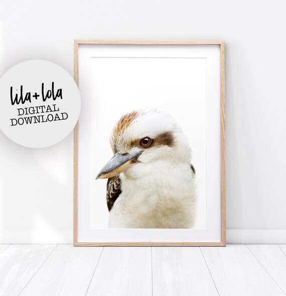 Kookaburra Print, Australian Bird Minimalist Art Print