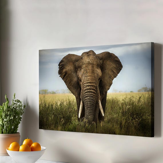 Elephant Decorative Canvas Painting Housewarming Gifts Animal Wall Decor Framed Art Modern
