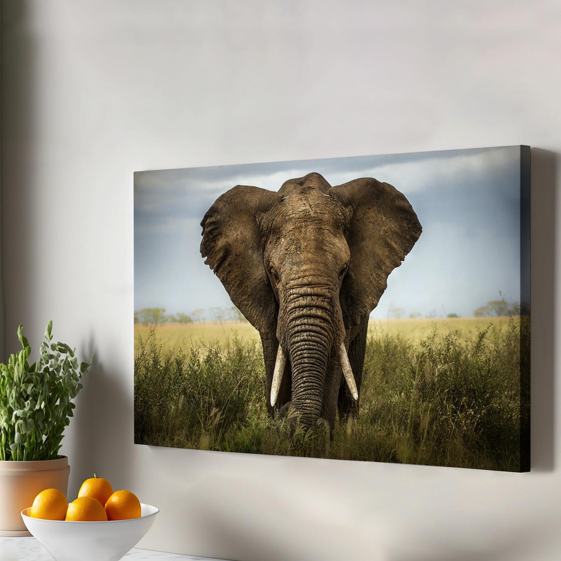 Elephant Decorative Canvas Painting Housewarming Gifts Animal Wall Decor Framed Art Modern