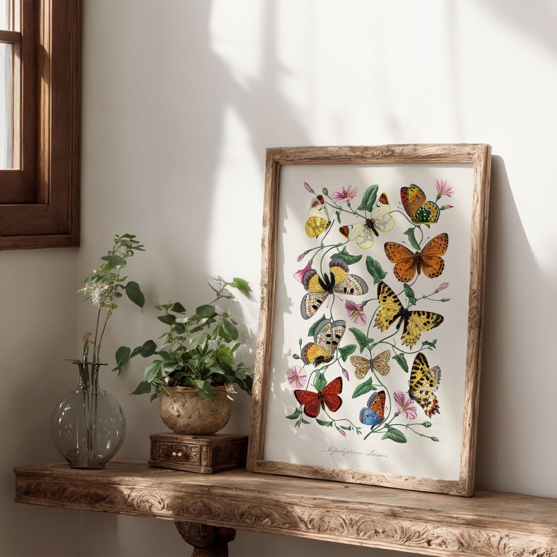 Vintage Butterflies Botanical Entomology Illustration Poster - Image 3