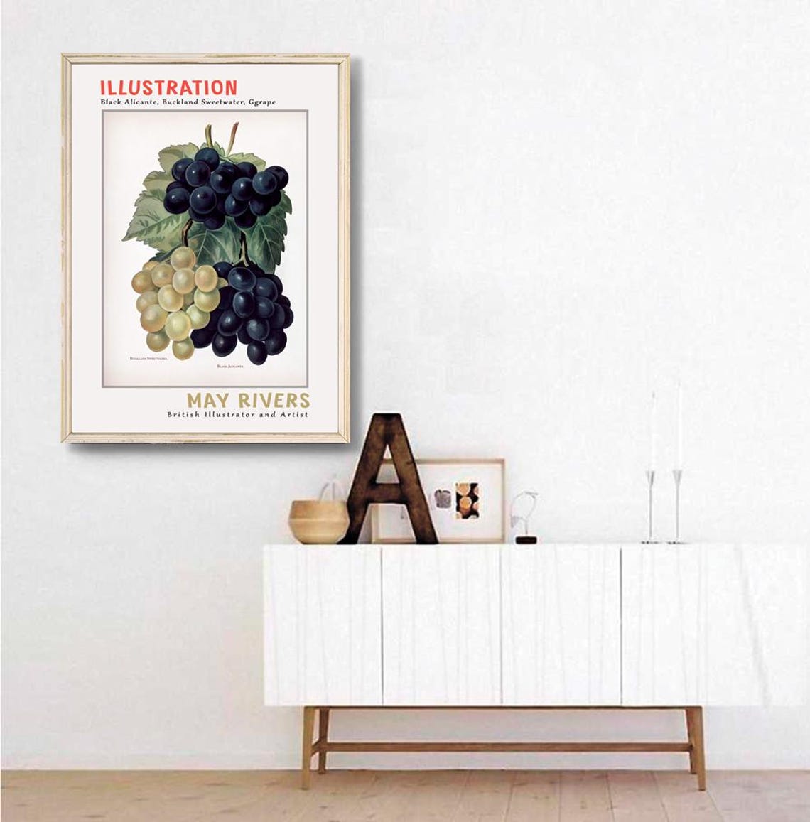 May Rivers Black Alicante Grapes Vintage Botanical Illustration Poster - Image 3