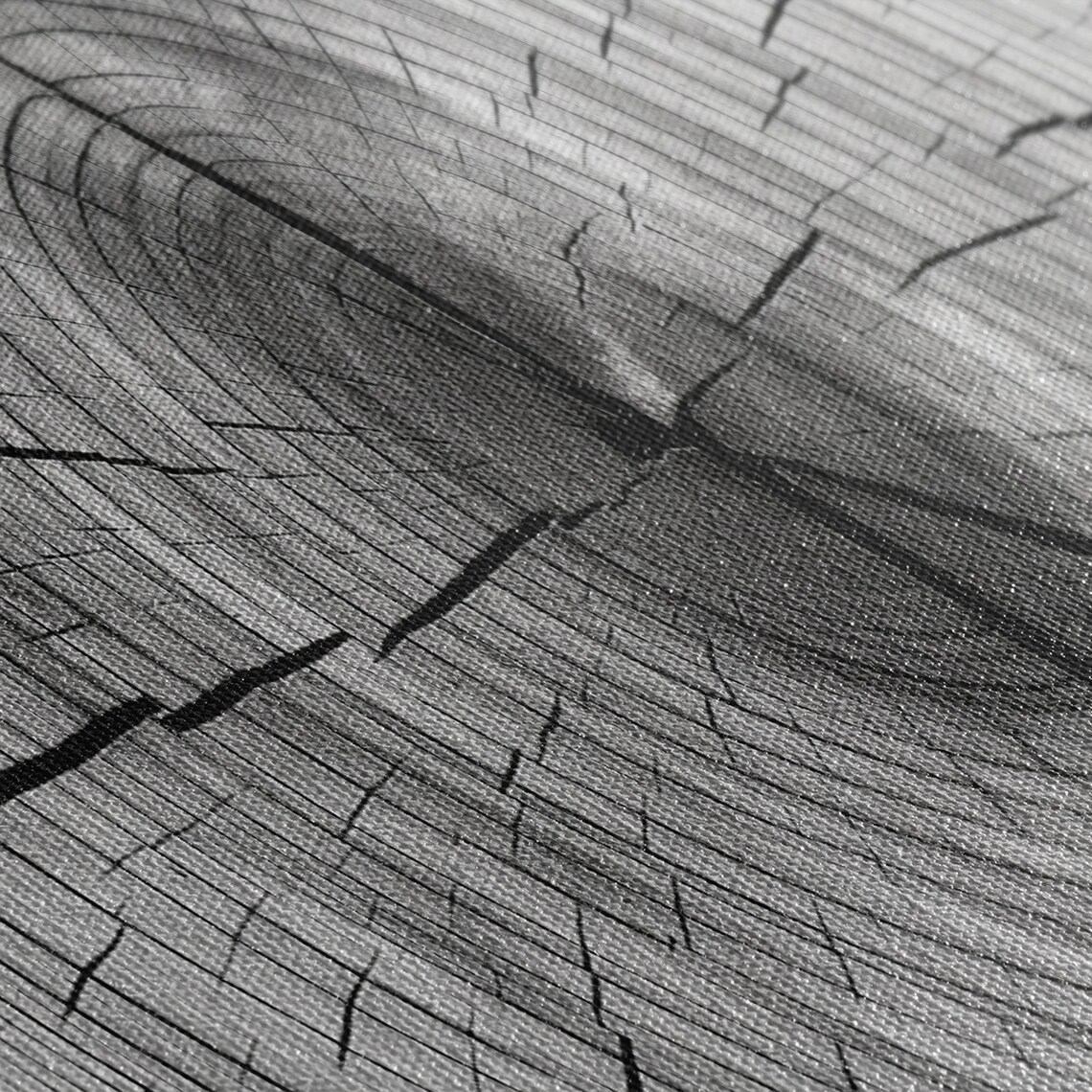 Tree Ring Art Print, Tree of Life Nature Poster - Image 2