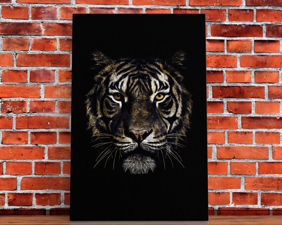 Tiger Face Close Up Golden Eyes Black Background Wildlife Big Cat Poster