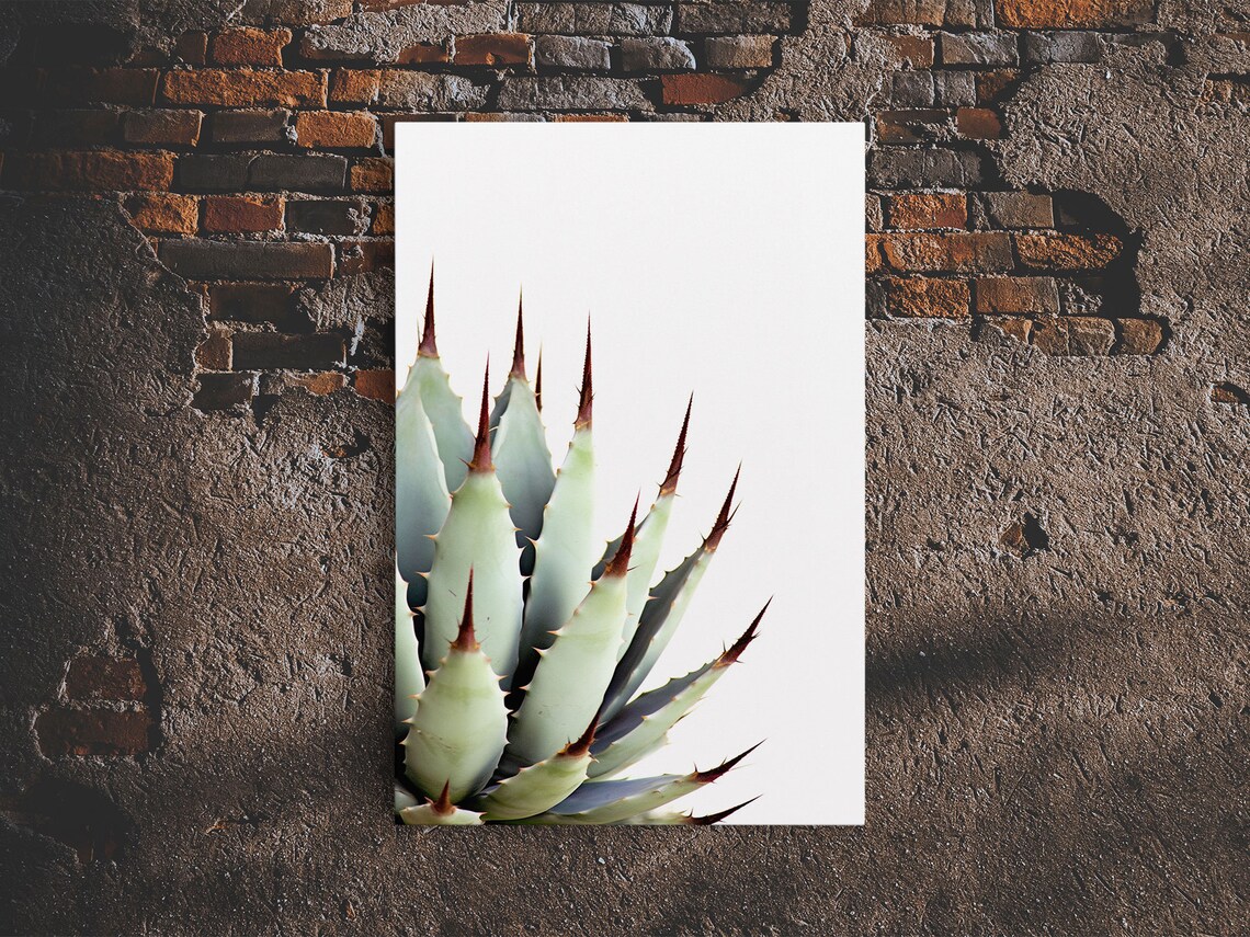Desert Cactus Art Print, Modern Botanical Decor - Image 6