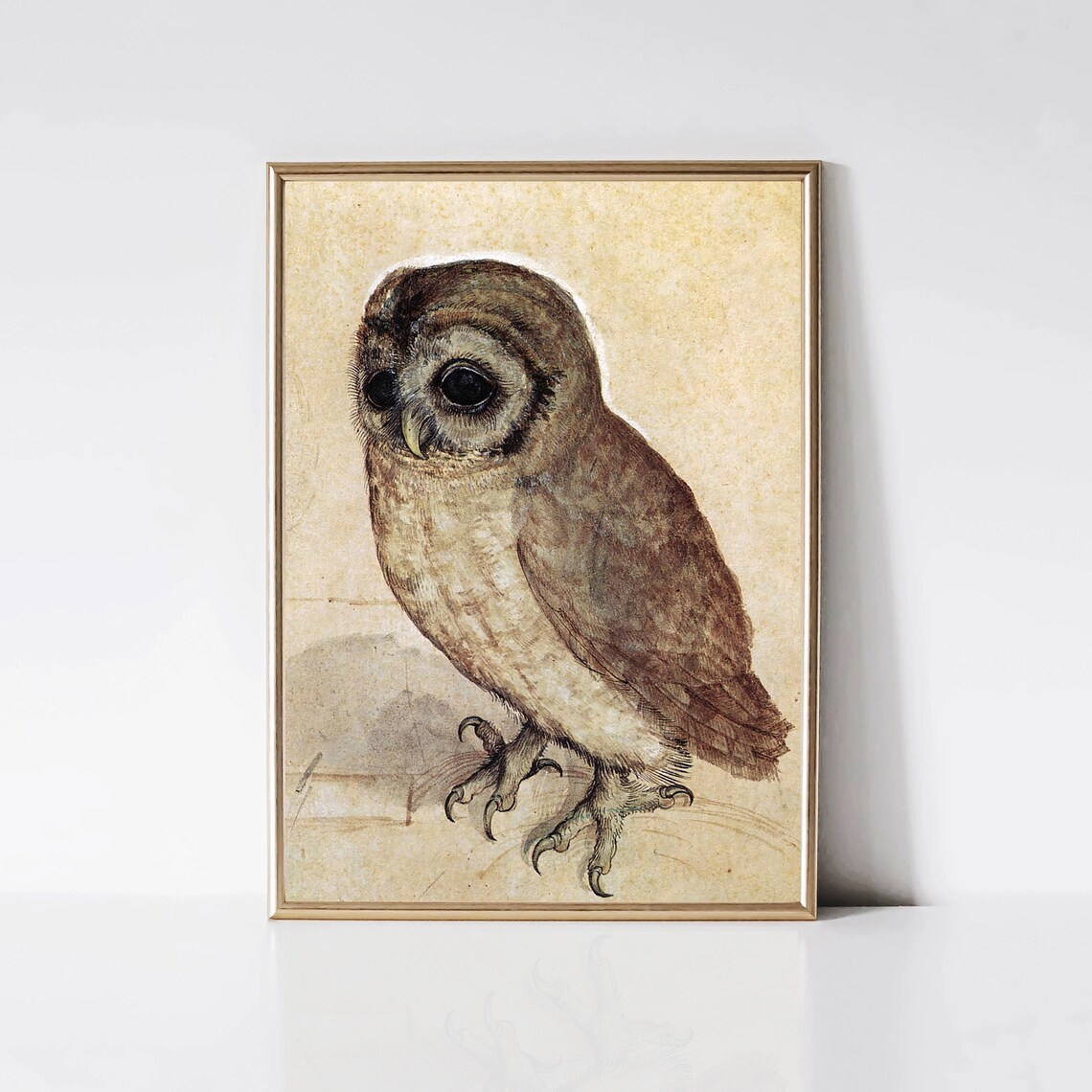 Little Owl by Albrecht Durer, Antique Bird Art Print - Image 3