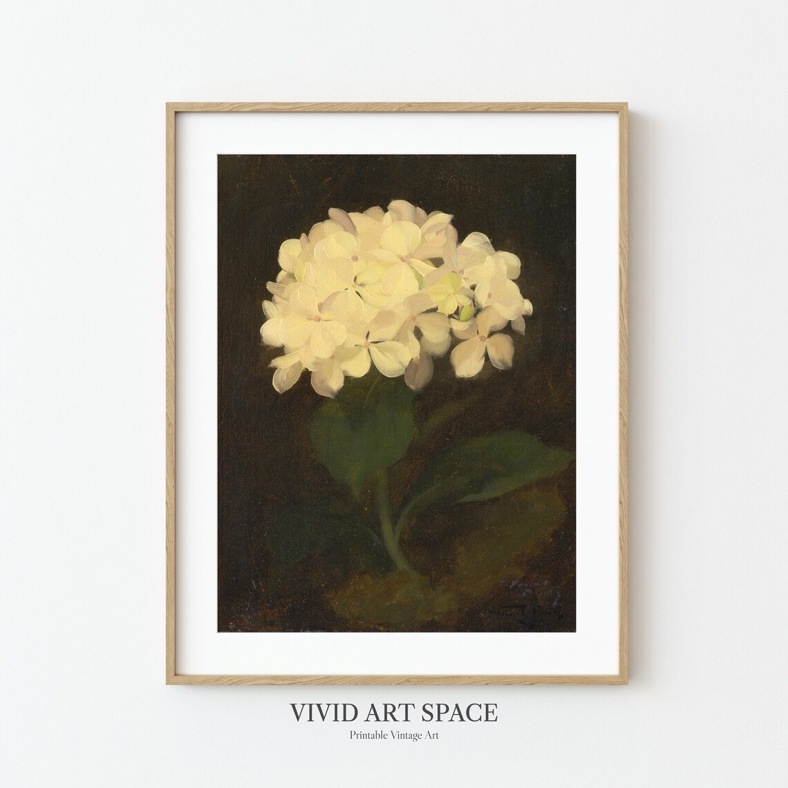 White Hydrangea Dark Floral Wall Art Print - Image 3