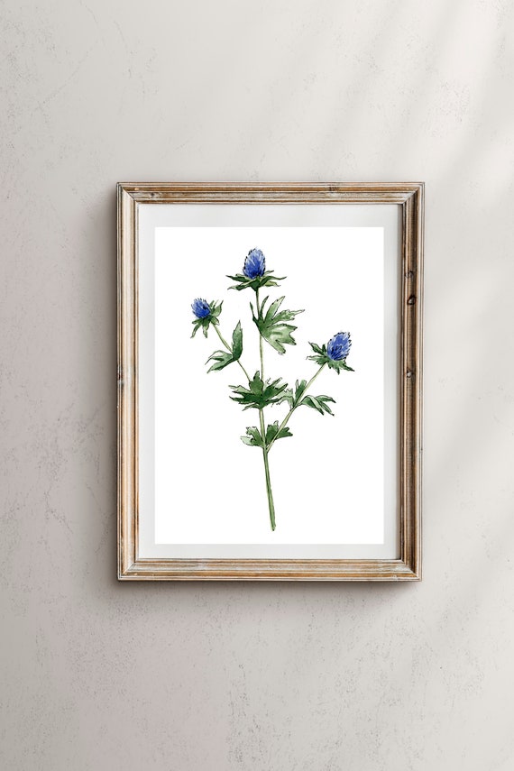 Blue Thistle Botanical Wall Art Print, Floral Decor