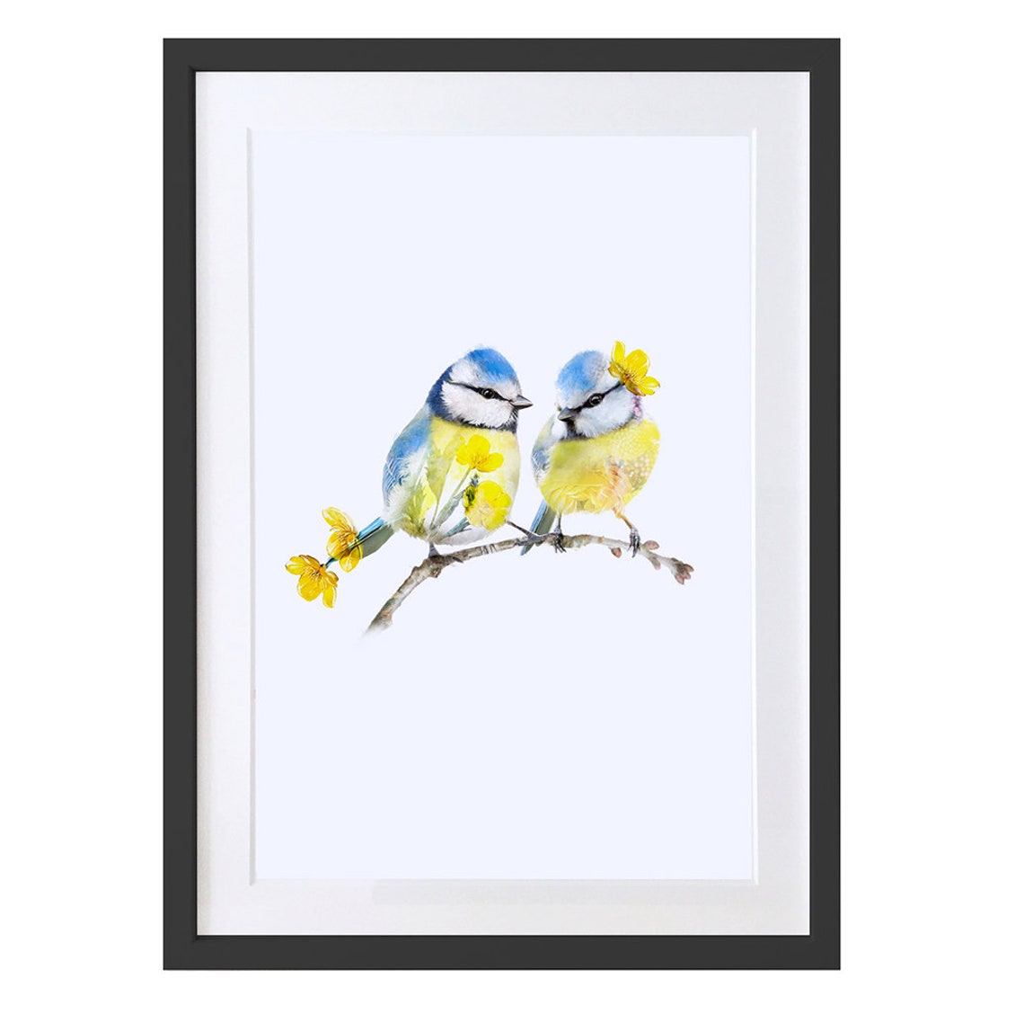 Two Blue Tits Bird Art Print