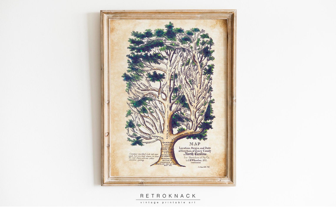 North Carolina 1851 County Tree Map Vintage Genealogy Poster - Image 3