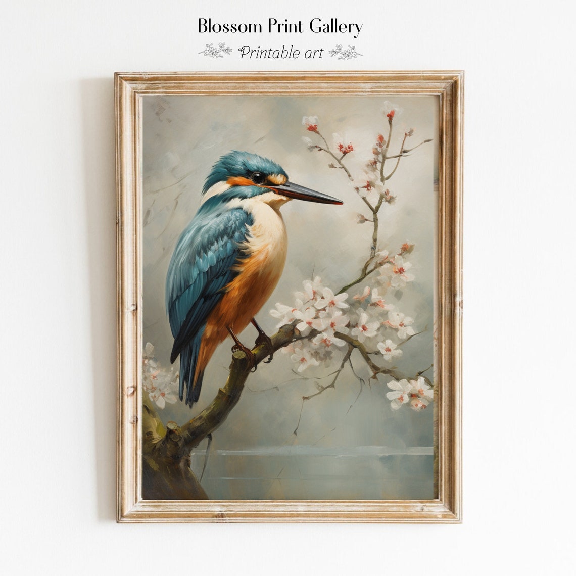 Kingfisher On Cherry Blossom Branch Vintage Bird Painting Poster