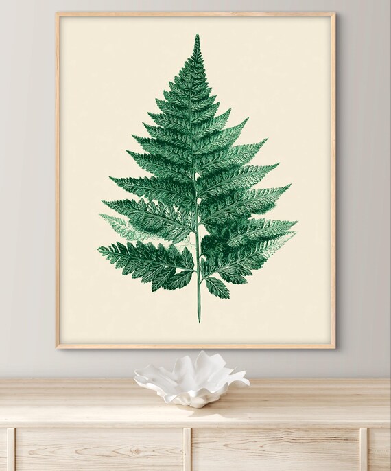 Vintage Botanical Print Detailed Plant Illustration