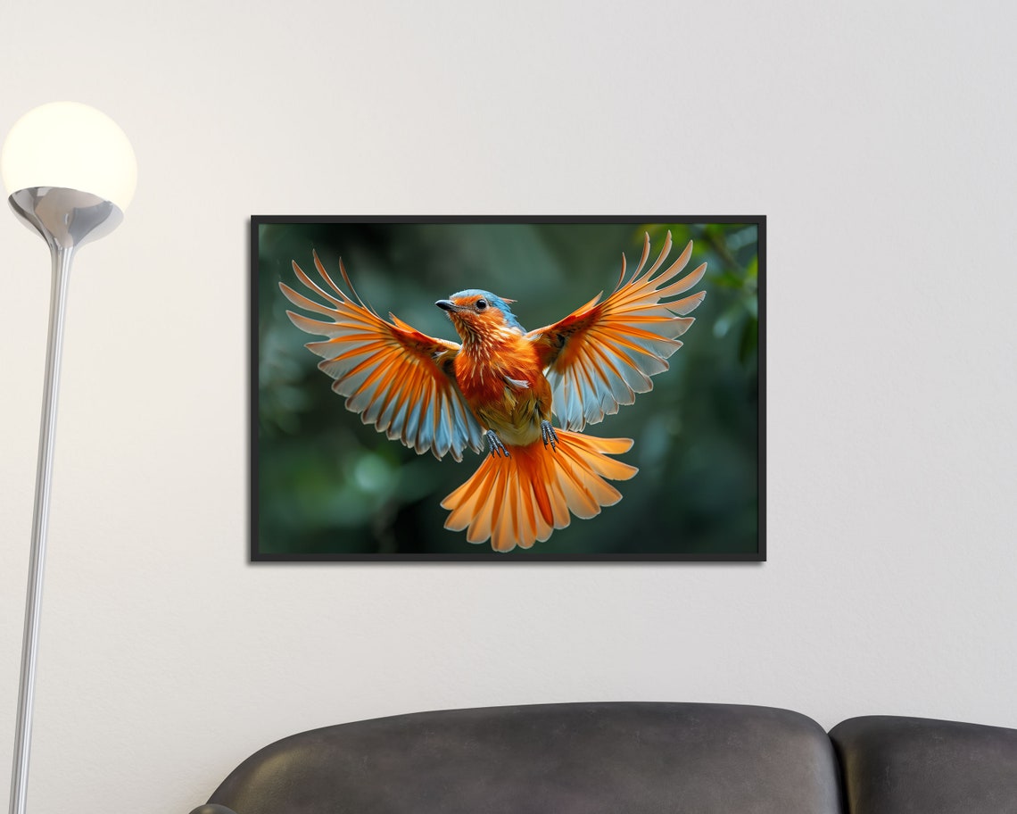 Paradise Flycatcher In Flight Orange Wings Exotic Bird Wall Art Print
