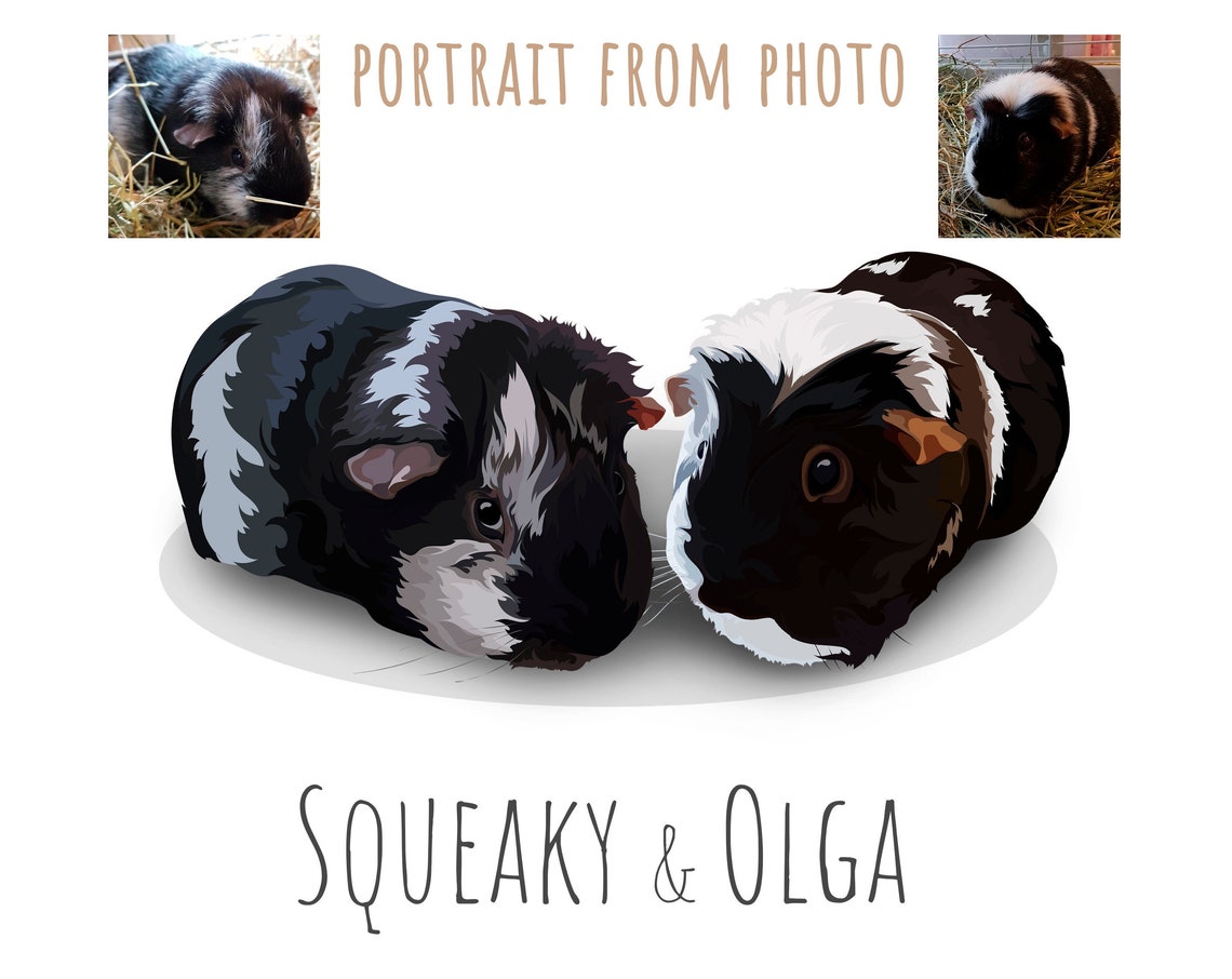 Custom Two Guinea Pig Portrait Pair Squeaky And Olga Art Poster
