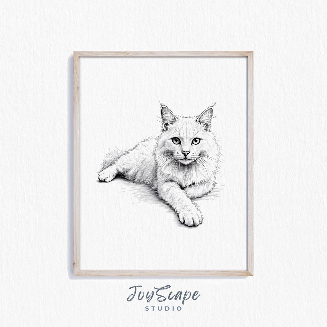 Fluffy White Cat Pencil Sketch Black and White Long Haired Poster