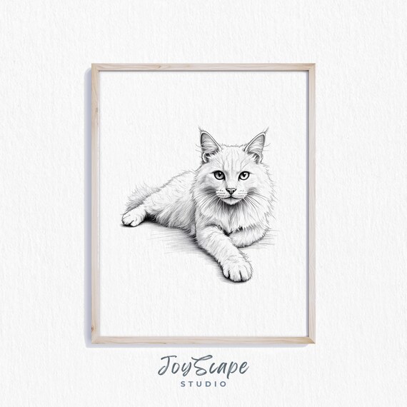Fluffy White Cat Pencil Sketch Black and White Long Haired Poster