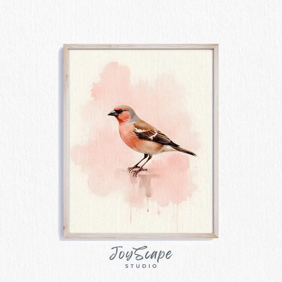 Finch Pink Songbird Watercolor Blush Cottage Decor Art Print