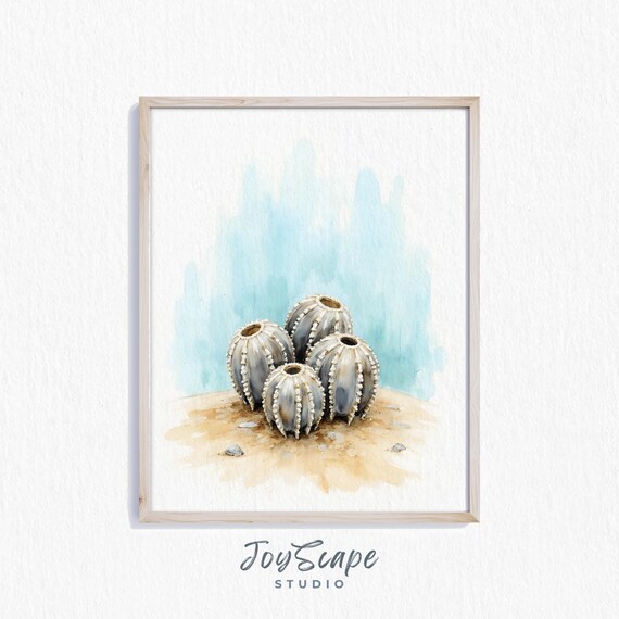 Barnacle Shells on Sand Blue Coastal Watercolor Sea Life Wall Art