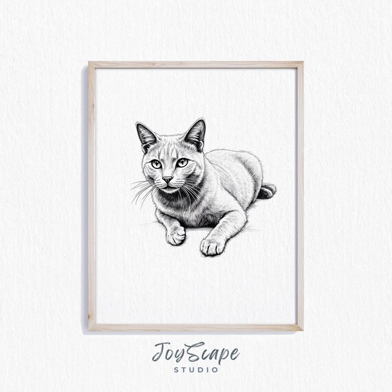 Silver Gray Cat Pencil Sketch Green Eyes Minimalist Feline Poster