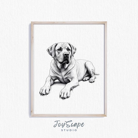 Mastiff Art Rustic Black And White Dog Portrait Vintage Canine Wall Decor Nursery Pet Print