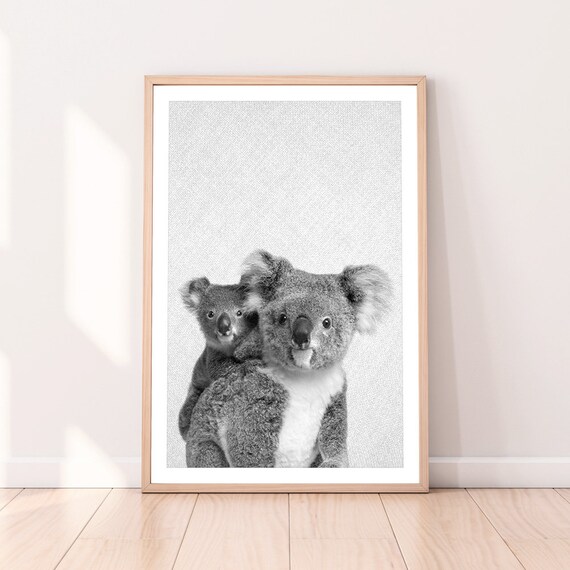 Koala Mother And Joey Black And White Cute Animal Portrait Poster