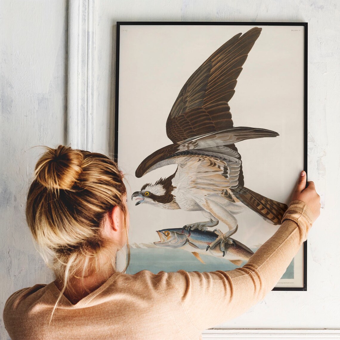 Fish Hawk Antique Bird Painting Vintage Poster - Image 3