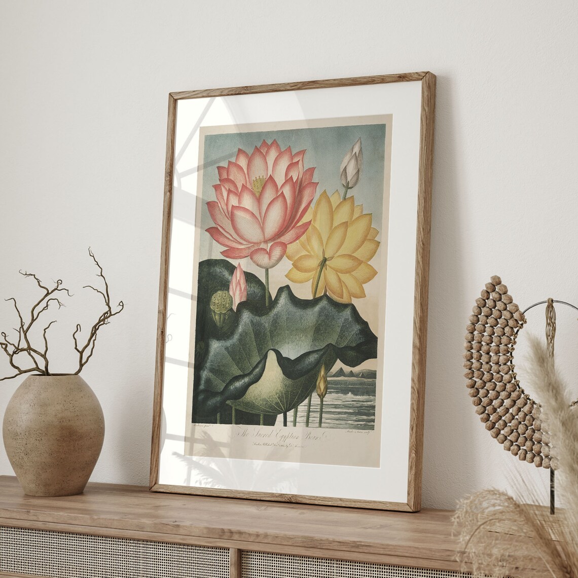 Vintage Sacred Lotus Botanical Illustration Pink Yellow Flowers Poster - Image 4
