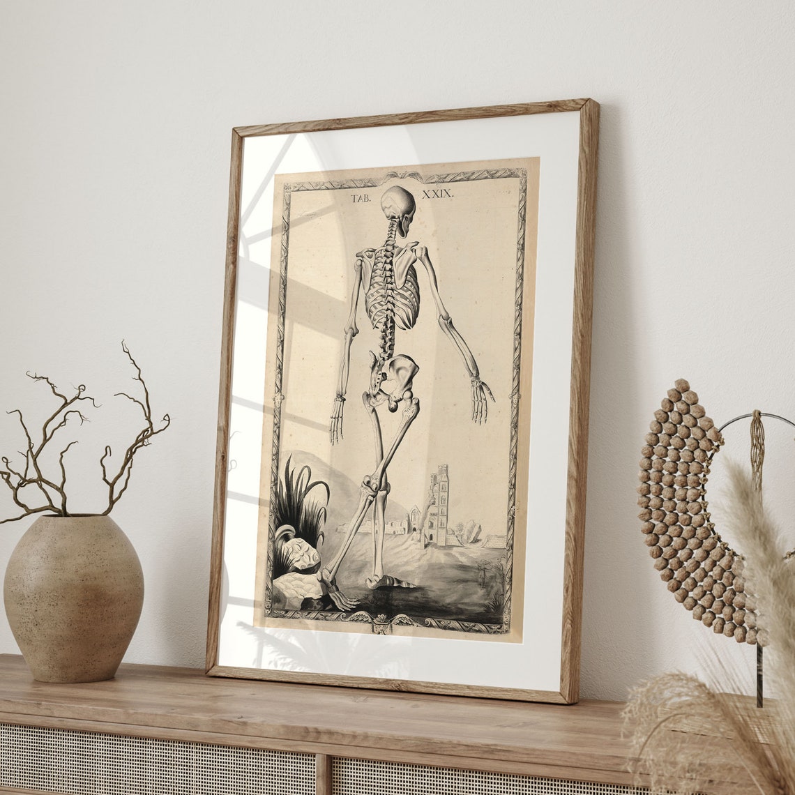 Antique Anatomical Skeleton Engraving Tab XXIX Vintage Science Poster - Image 4