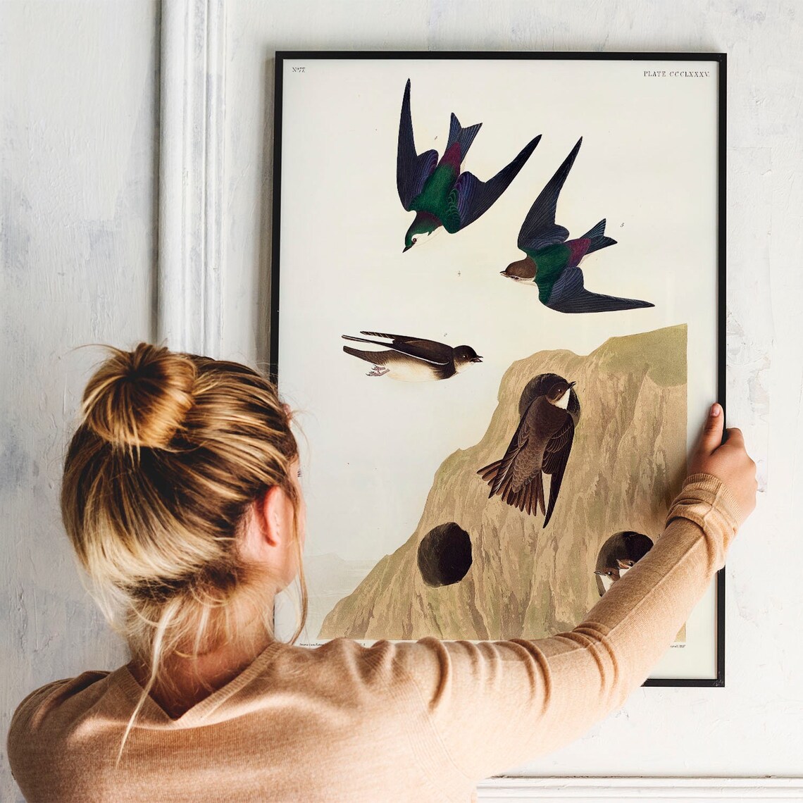 Swallow Print, Antique Bird Drawing Poster - Image 2