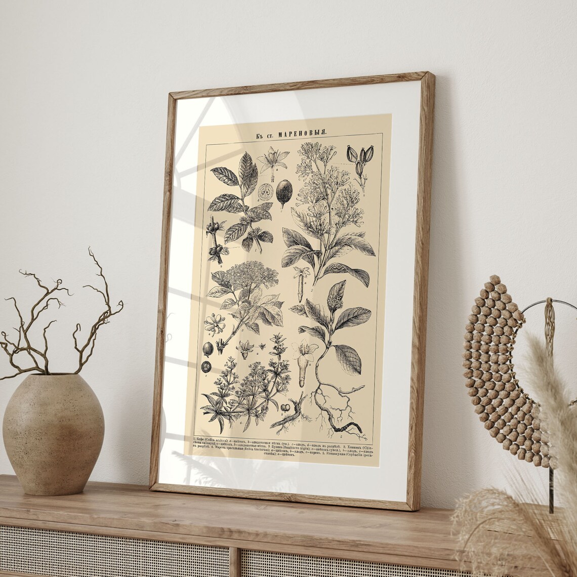 Vintage Botanical Floral Illustration, Art Print - Image 4