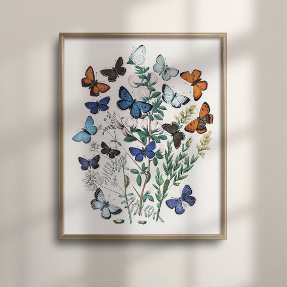 Rustic Butterfly Wall Art Vintage Botanical Prints Butterfly Decor For Kitchen Farmhouse Style Botanical Poster C16 1199