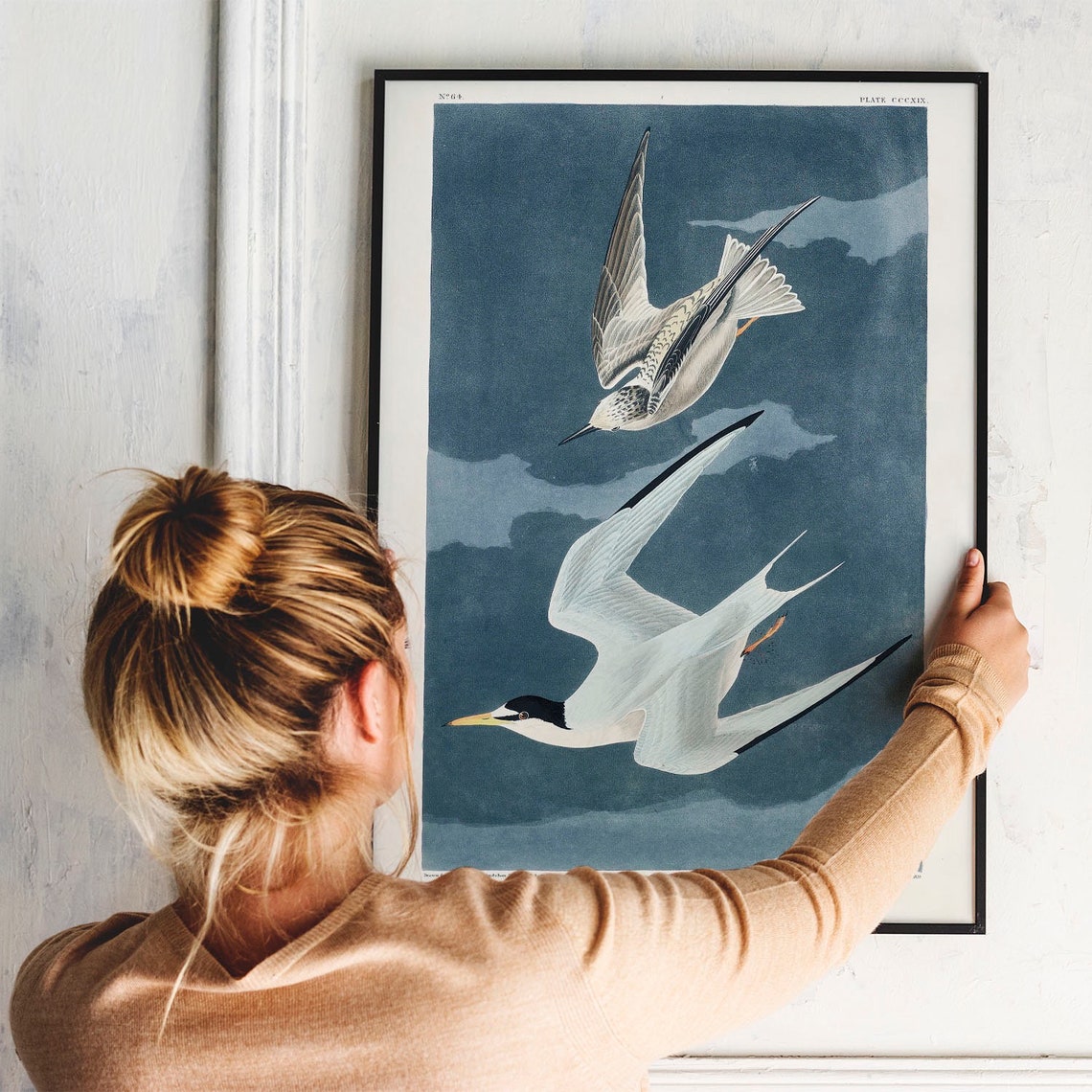 Audubon Lesser Tern Seabirds Vintage Plate Blue Sky Ornithology Poster - Image 3