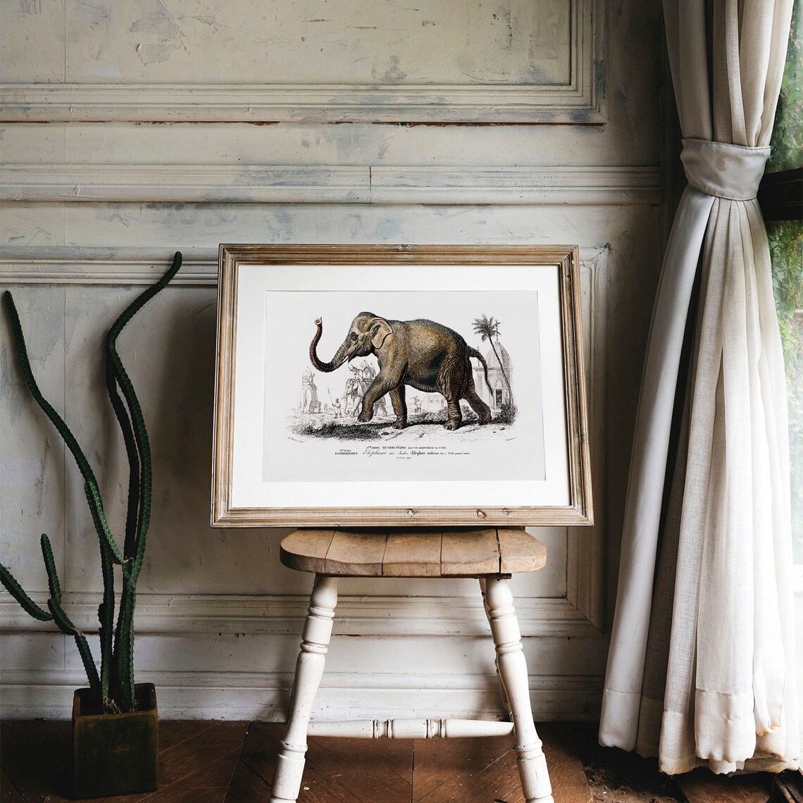 Elephant Antique Animal Drawing, Vintage Poster - Image 4