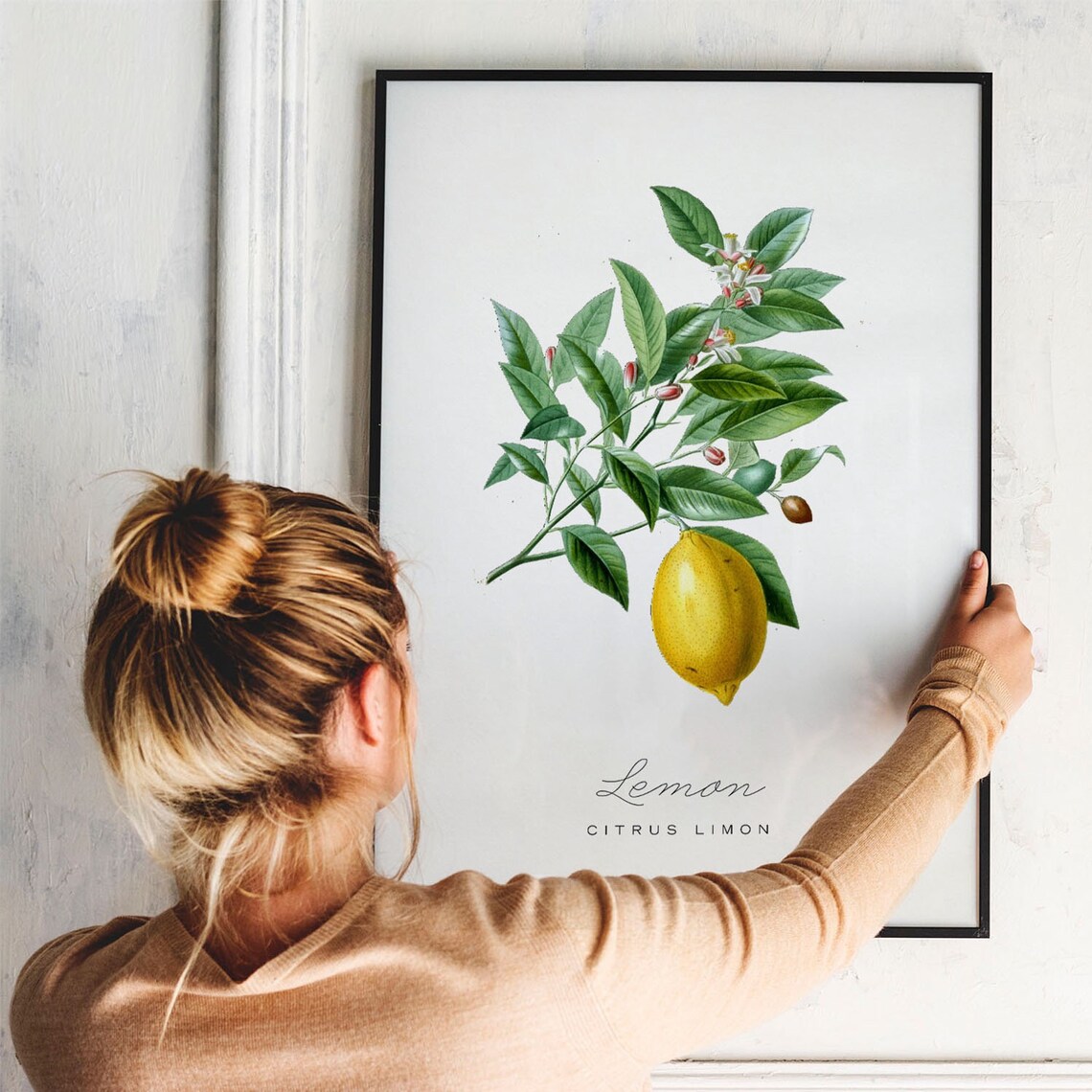 Vintage Lemons Kitchen Art Print, Fruit Illustration - Image 3