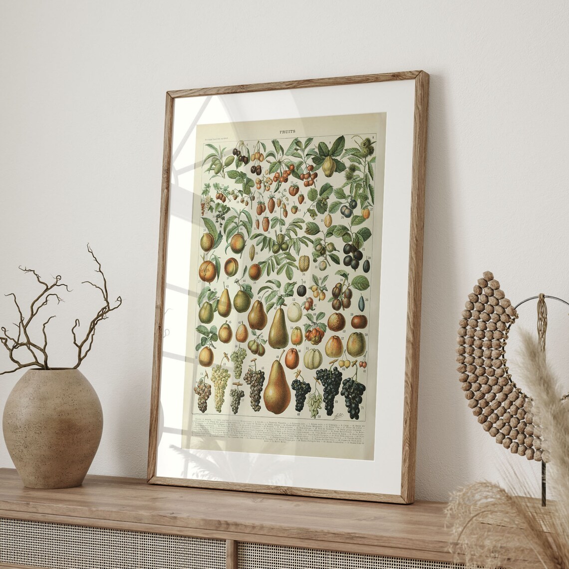 Adolphe Millot Fruits Chart Vintage French Botanical Orchard Poster - Image 4