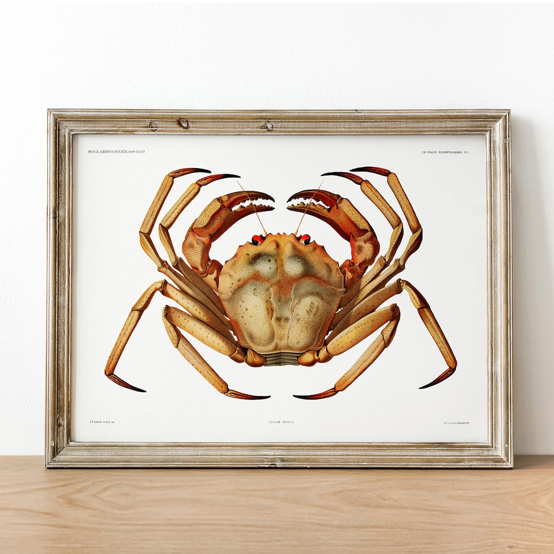 Vintage Crab and Fish Poster, Deep Sea Decor